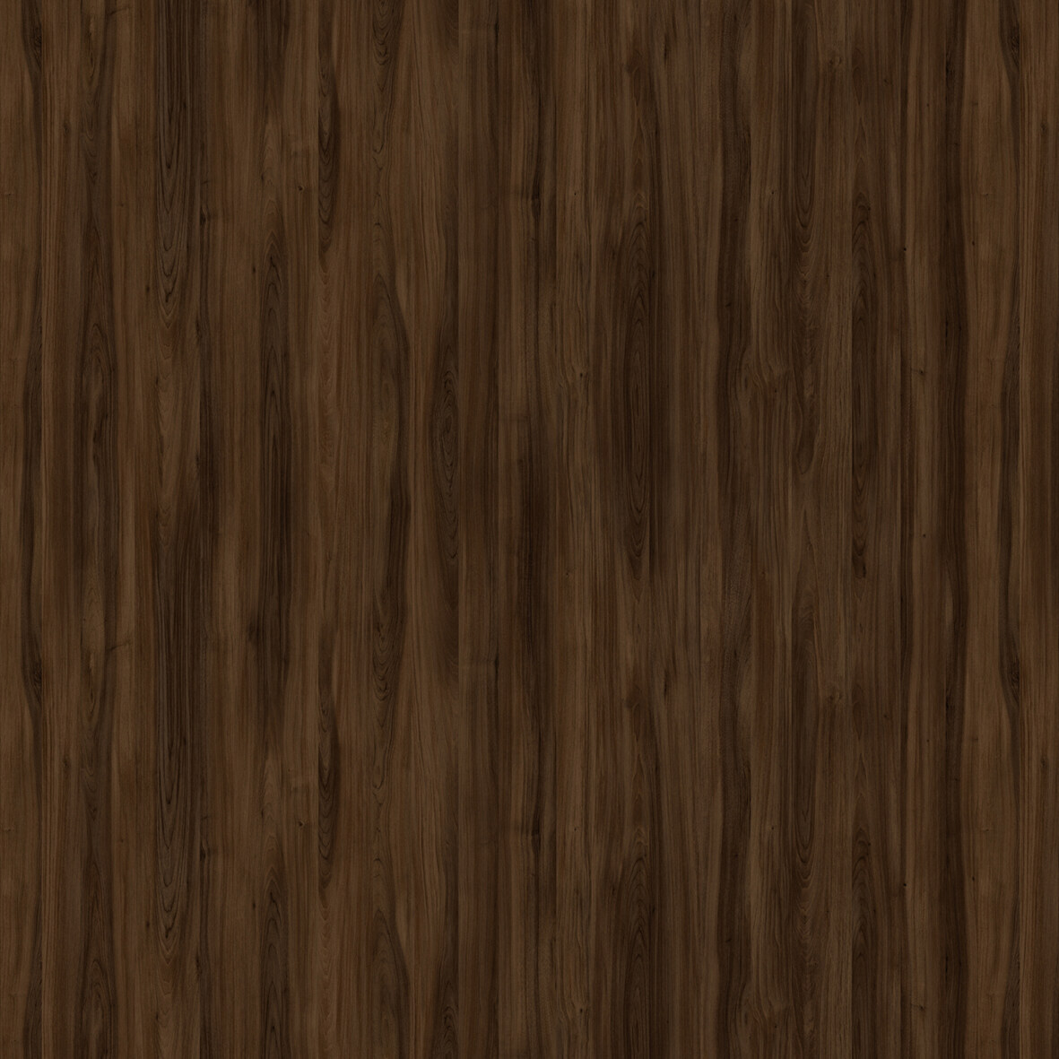 格萊維亞胡桃木